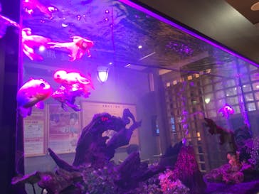 鶴見緑地湯元 水春に投稿された画像（2021/8/24）