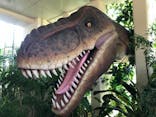 御菓子御殿　名護店　やんばる亜熱帯の森DINO恐竜PARKに投稿された画像（2021/8/24）