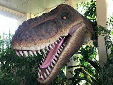 御菓子御殿　名護店　やんばる亜熱帯の森DINO恐竜PARKに投稿された画像（2021/8/24）