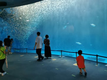 名古屋港水族館に投稿された画像（2021/8/24）