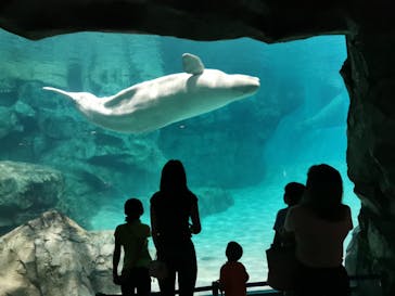 名古屋港水族館に投稿された画像（2021/8/24）