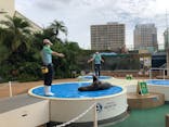サンシャイン水族館に投稿された画像（2021/8/24）