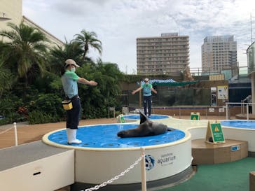 サンシャイン水族館に投稿された画像（2021/8/24）