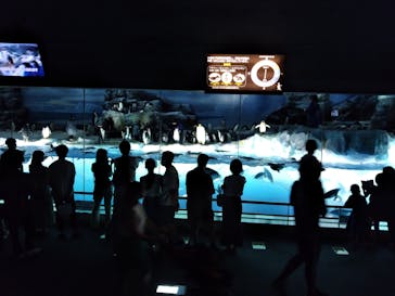 名古屋港水族館に投稿された画像（2021/8/24）