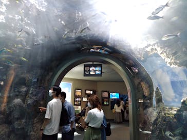 名古屋港水族館に投稿された画像（2021/8/24）