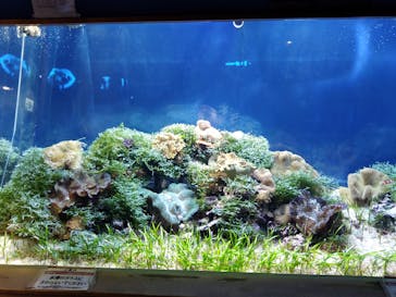 名古屋港水族館に投稿された画像（2021/8/24）