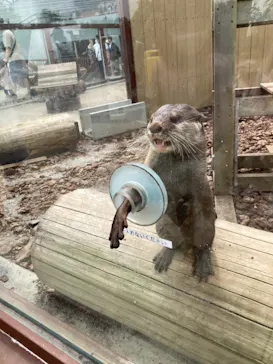 横浜・八景島シーパラダイスに投稿された画像（2021/8/24）