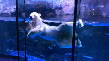 横浜・八景島シーパラダイスに投稿された画像（2021/8/24）