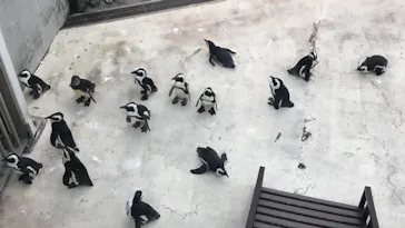 横浜・八景島シーパラダイスに投稿された画像（2021/8/24）