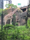 天王寺動物園に投稿された画像（2021/8/24）
