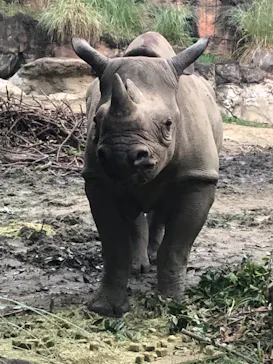 天王寺動物園に投稿された画像（2021/8/24）