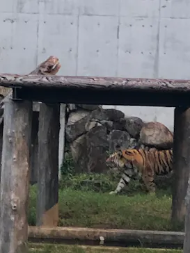 天王寺動物園に投稿された画像（2021/8/24）