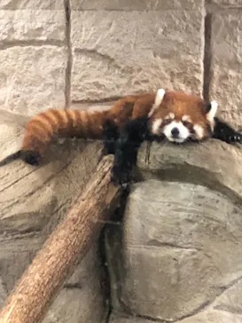 天王寺動物園に投稿された画像（2021/8/24）