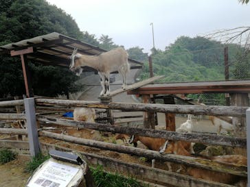 群馬サファリパークに投稿された画像（2021/8/24）