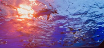 サンシャイン水族館に投稿された画像（2021/8/24）