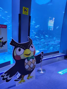 横浜・八景島シーパラダイスに投稿された画像（2021/8/24）