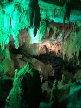 あぶくま洞に投稿された画像（2021/8/25）