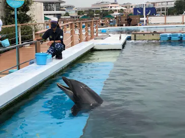 横浜・八景島シーパラダイスに投稿された画像（2021/8/25）