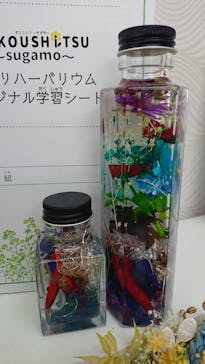 ずこうしつ〜sugamo〜に投稿された画像（2021/8/25）