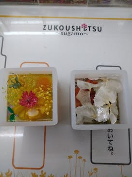 ずこうしつ〜sugamo〜に投稿された画像（2021/8/25）