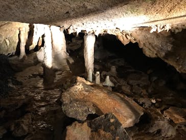 あぶくま洞に投稿された画像（2021/8/25）