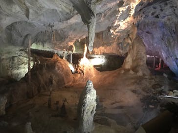 あぶくま洞に投稿された画像（2021/8/25）