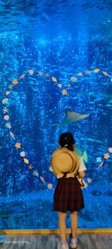 南知多ビーチランド＆南知多おもちゃ王国に投稿された画像（2021/8/25）