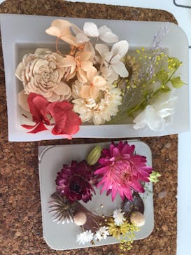 ずこうしつ〜sugamo〜に投稿された画像（2021/8/25）