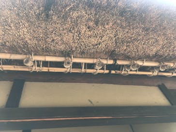 江戸東京たてもの園に投稿された画像（2021/8/25）