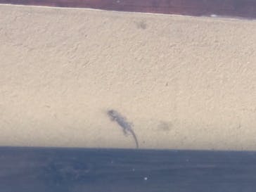 江戸東京たてもの園に投稿された画像（2021/8/25）