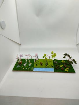 アトリエひわだやに投稿された画像（2021/8/25）