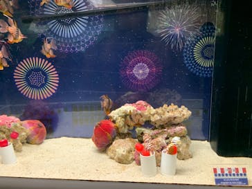 マクセル アクアパーク品川に投稿された画像（2021/8/25）