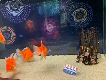 マクセル アクアパーク品川に投稿された画像（2021/8/25）