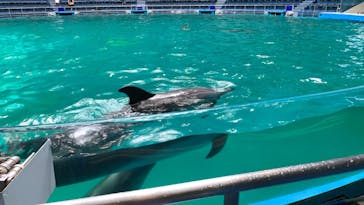 マクセル アクアパーク品川に投稿された画像（2021/8/25）