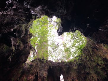 屋久島ガイド21EC-Kに投稿された画像（2021/8/25）