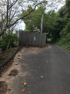 成田の命泉　大和の湯に投稿された画像（2021/8/25）