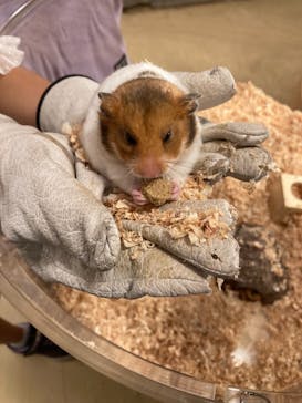 Moff animal cafe イオンモール幕張新都心店に投稿された画像（2021/8/25）