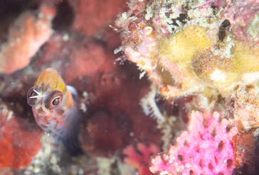 LOVE&BLUE（ラブアンドブルー）に投稿された画像（2021/8/25）