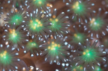 LOVE&BLUE（ラブアンドブルー）に投稿された画像（2021/8/25）