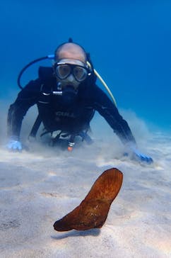 屋久島自然案内に投稿された画像（2021/8/25）