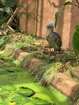 神戸どうぶつ王国に投稿された画像（2021/8/25）