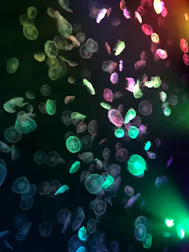 すみだ水族館に投稿された画像（2021/8/25）