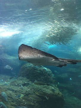 湘南モノレール大船駅に投稿された画像（2021/8/25）