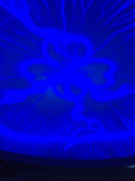 湘南モノレール大船駅に投稿された画像（2021/8/25）