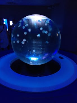 湘南モノレール大船駅に投稿された画像（2021/8/25）