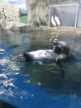 湘南モノレール大船駅に投稿された画像（2021/8/25）