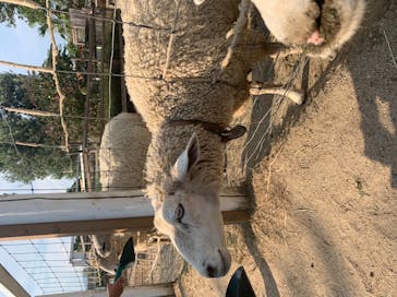 神戸どうぶつ王国に投稿された画像（2021/8/25）