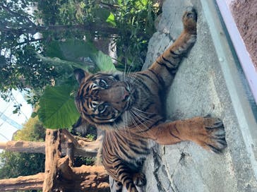 神戸どうぶつ王国に投稿された画像（2021/8/25）