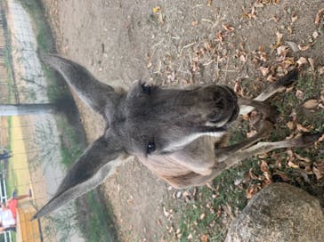 神戸どうぶつ王国に投稿された画像（2021/8/25）