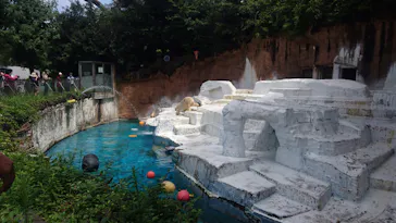 天王寺動物園に投稿された画像（2021/8/25）